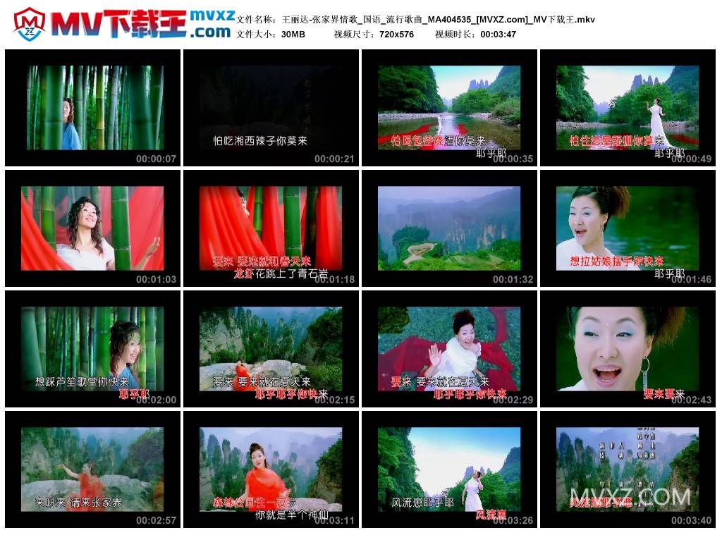 王丽达-张家界情歌_国语_流行歌曲_MA404535